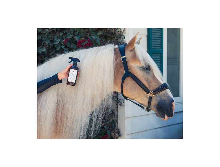 The Equine Collection - The Hoof & Paw Co.