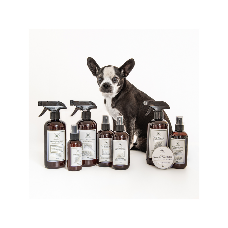 The Canine Collection - The Hoof & Paw Co.