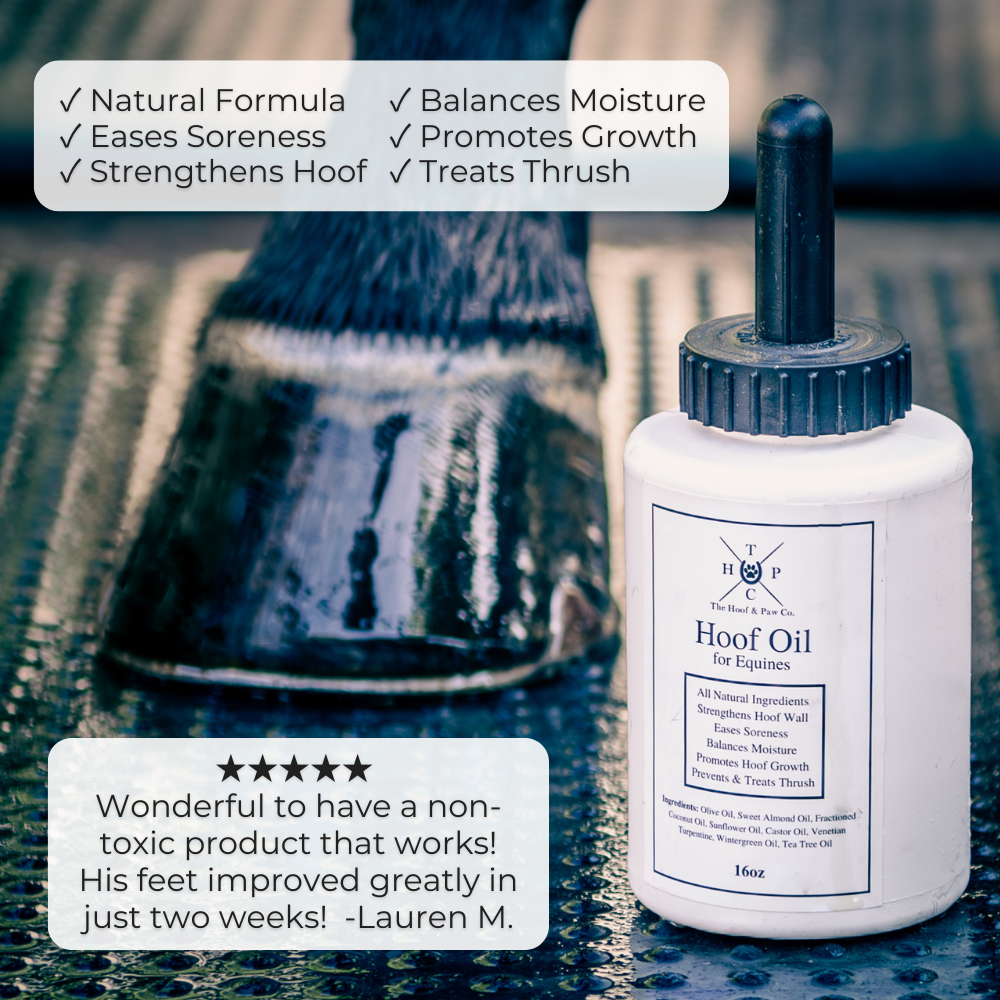 All Natural Hoof Oil - for Horses - 16oz