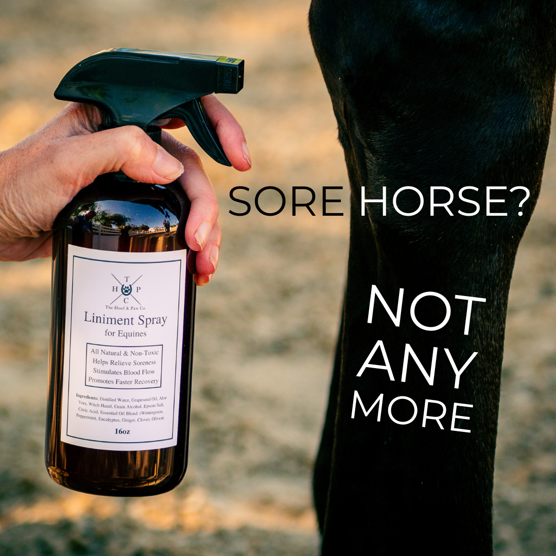Liniment Spray for Horses - 16oz