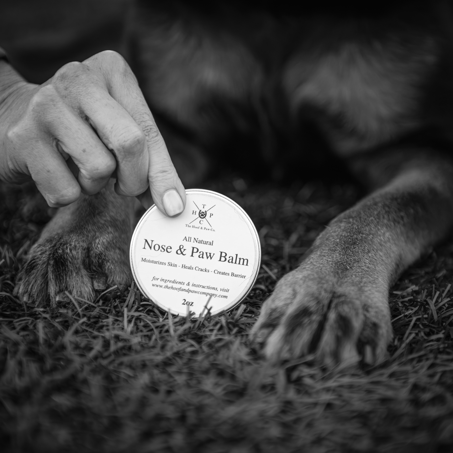 All Natural Nose & Paw Balm - for Dogs - 2oz - The Hoof & Paw Co.