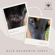 All Natural Hair Regrowth Spray - for Dogs & Horses (4oz or 8oz)
