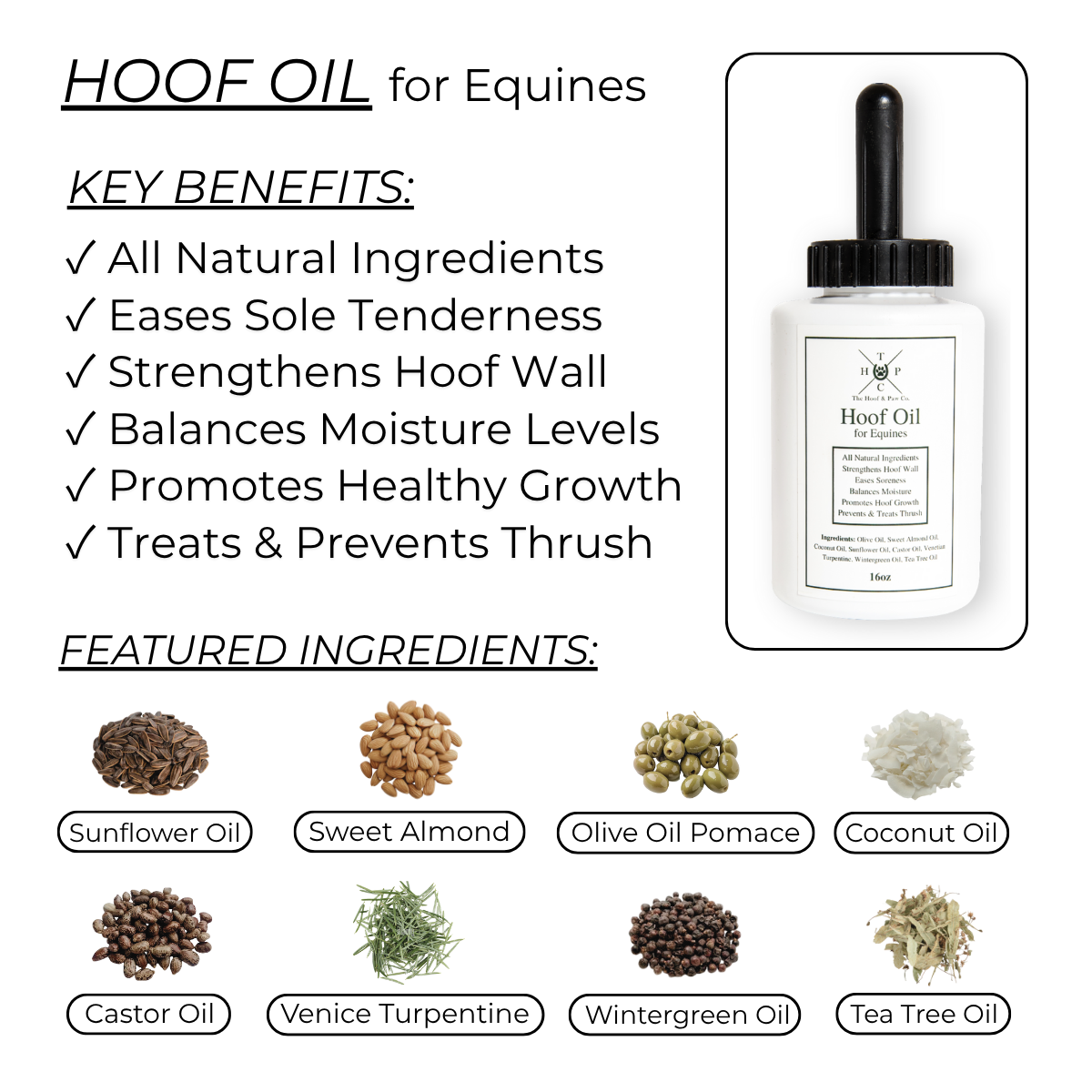 The Equine Grooming Pack
