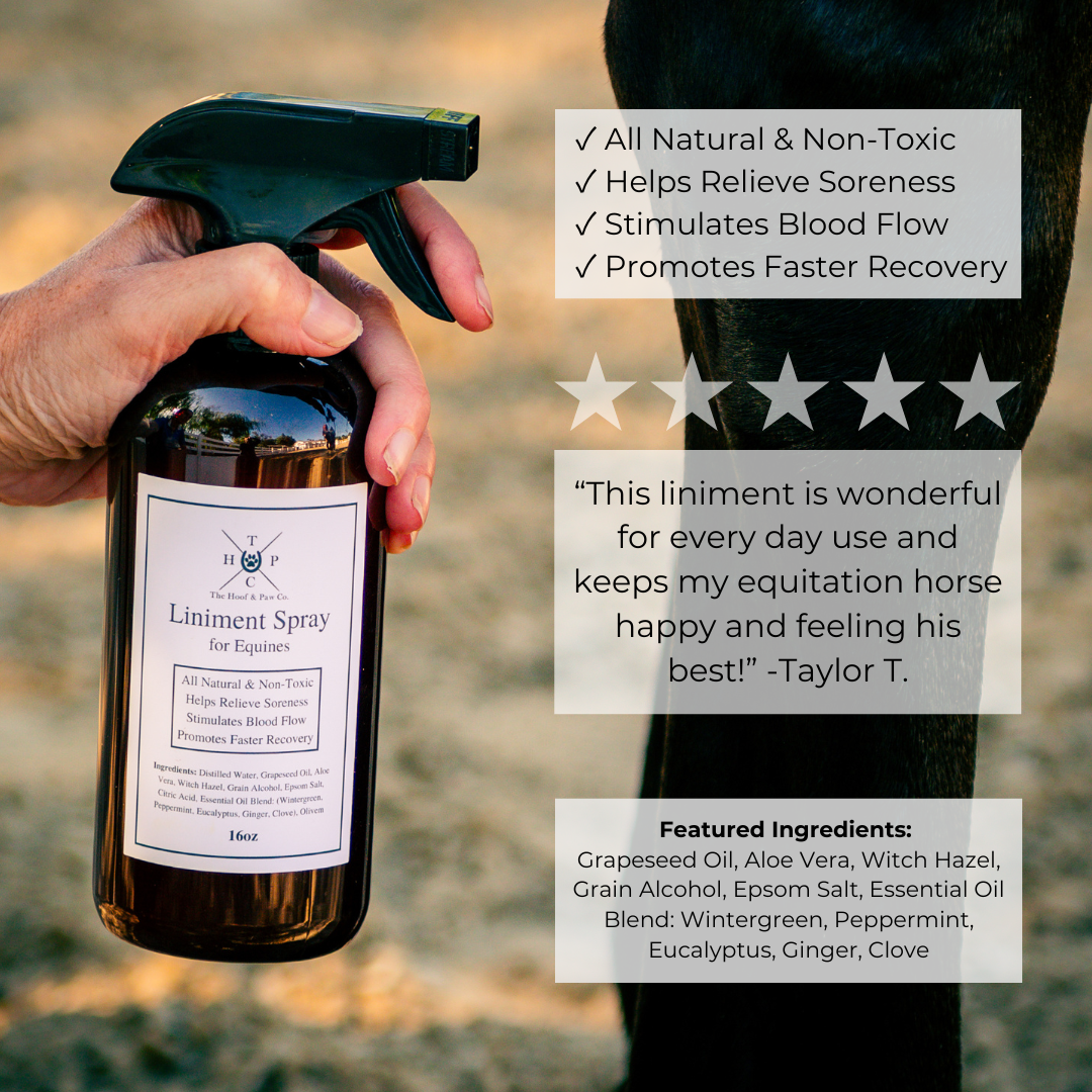 All Natural Liniment Spray - For Horses - 16oz - The Hoof & Paw Co.