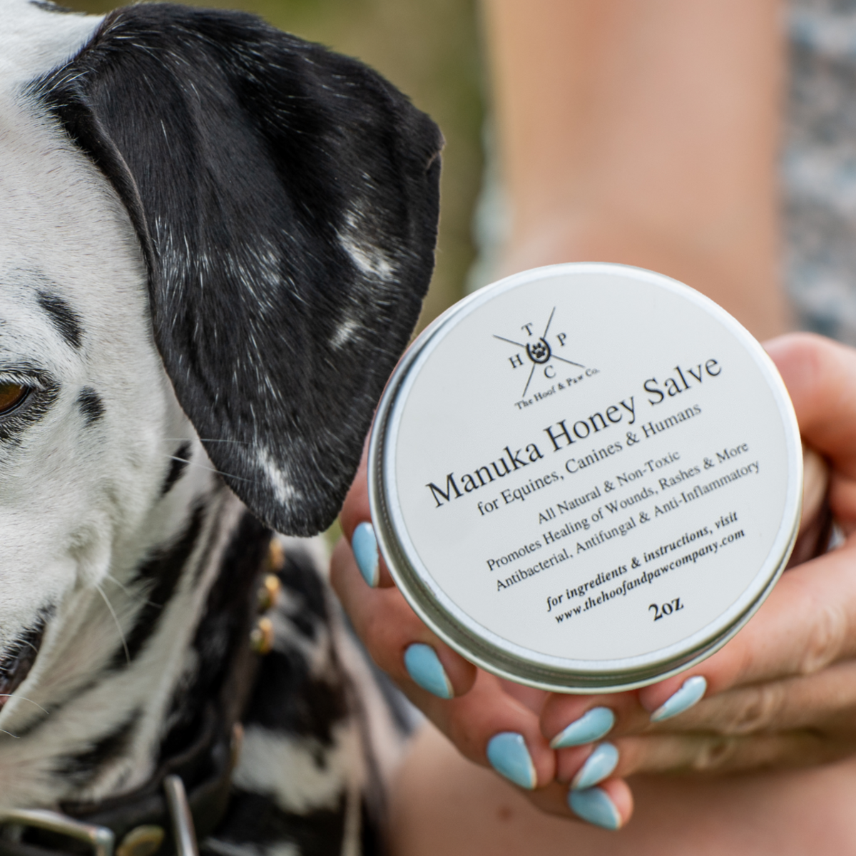 Manuka Honey Salve for Dogs, Horses & Humans