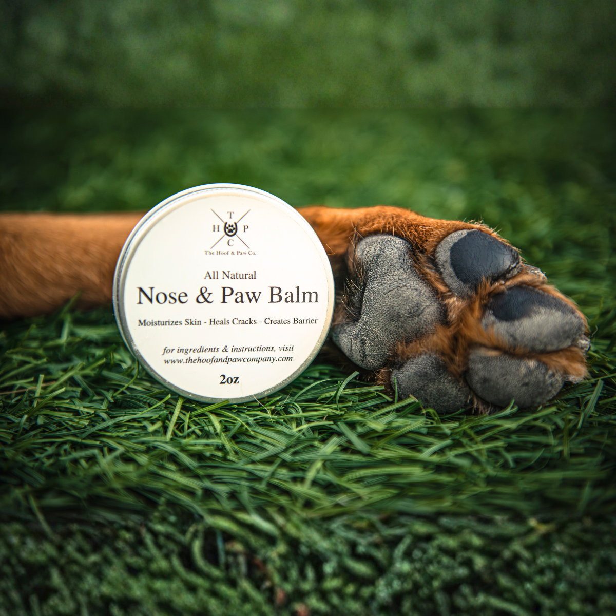 The Canine Grooming Pack