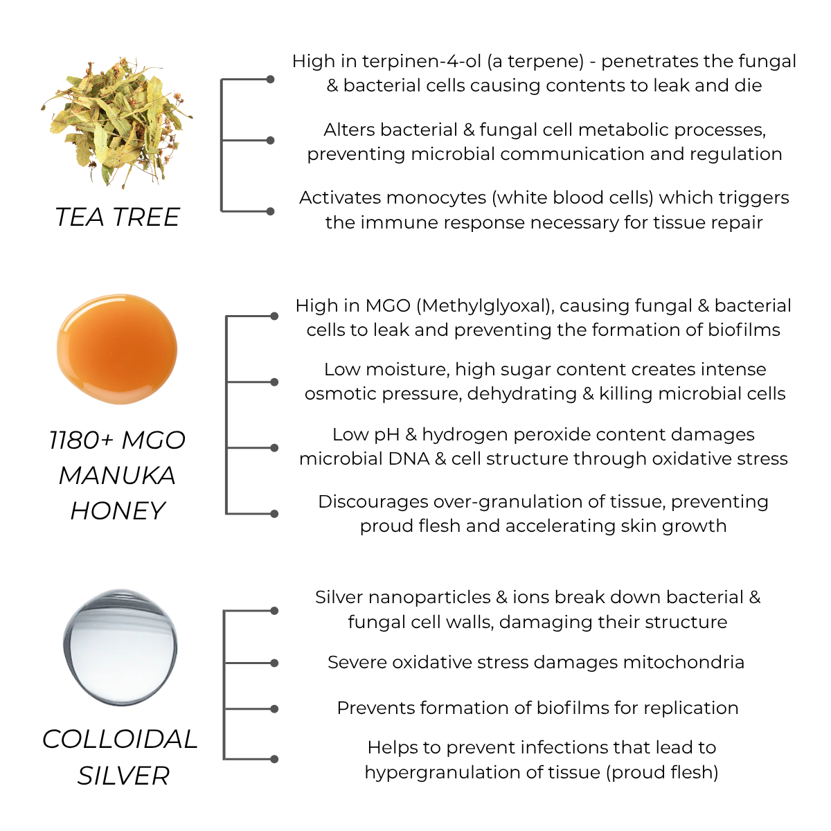Antifungal & Antibacterial Spray - for Horses