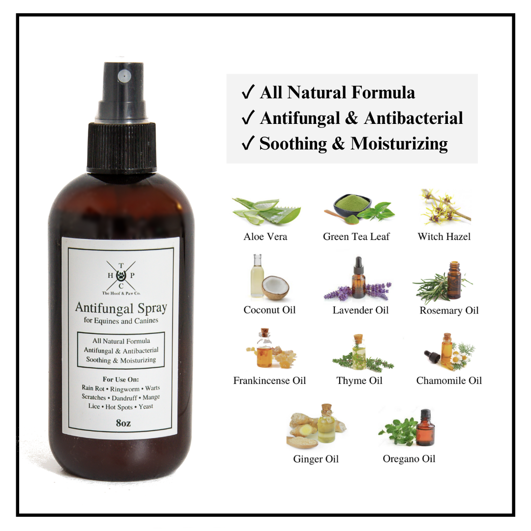 Natural antifungal for dogs shop