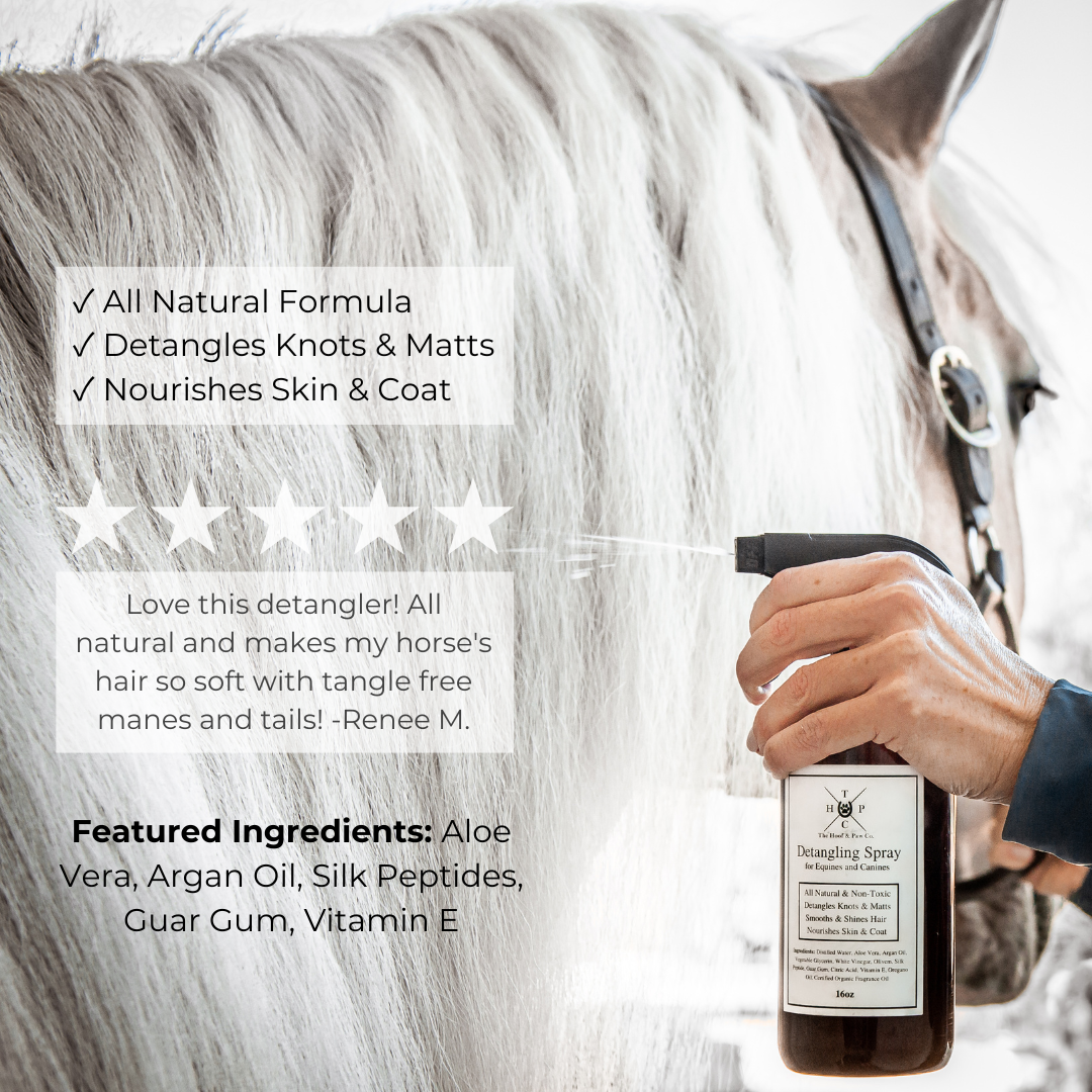 All Natural Detangling Spray - For Dogs & Horses - 16oz - The Hoof & Paw Co.