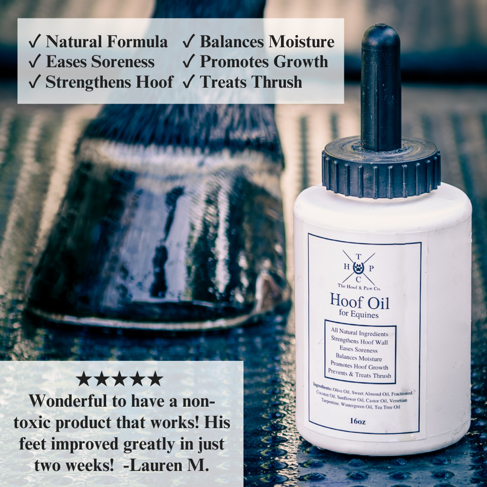 All Natural Hoof Oil - for Horses - 16oz - The Hoof & Paw Co.