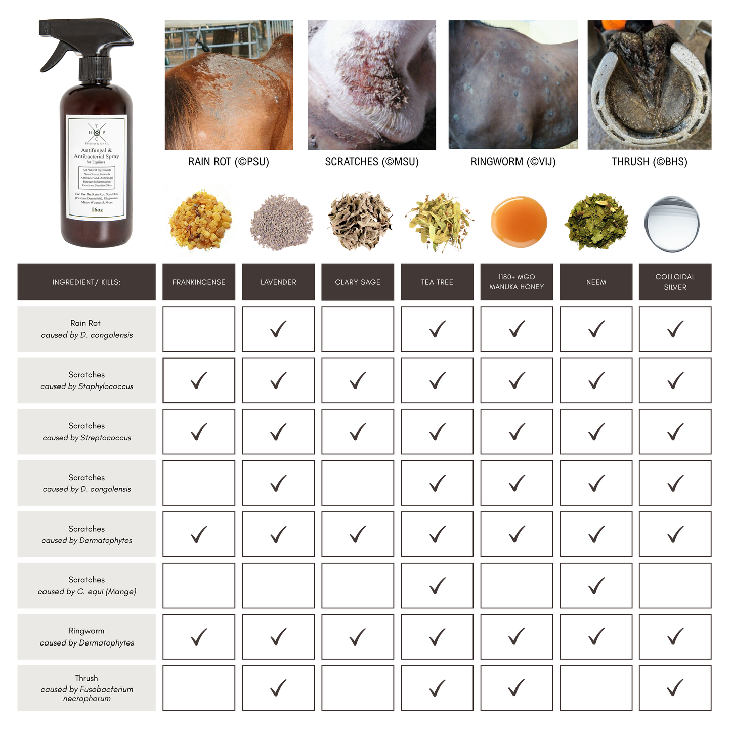 Antifungal & Antibacterial Spray - for Horses - 16oz