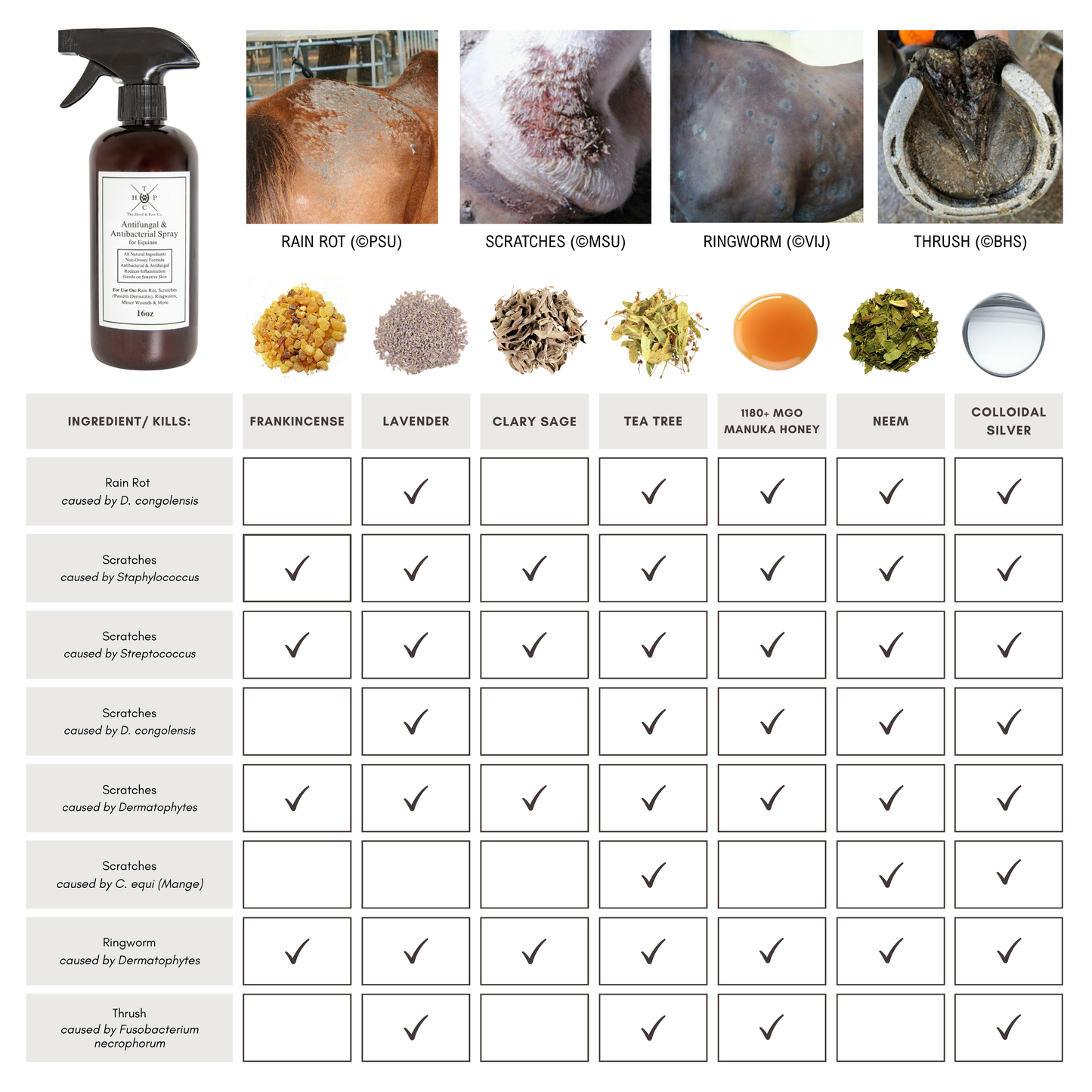 Antifungal & Antibacterial Spray - for Horses