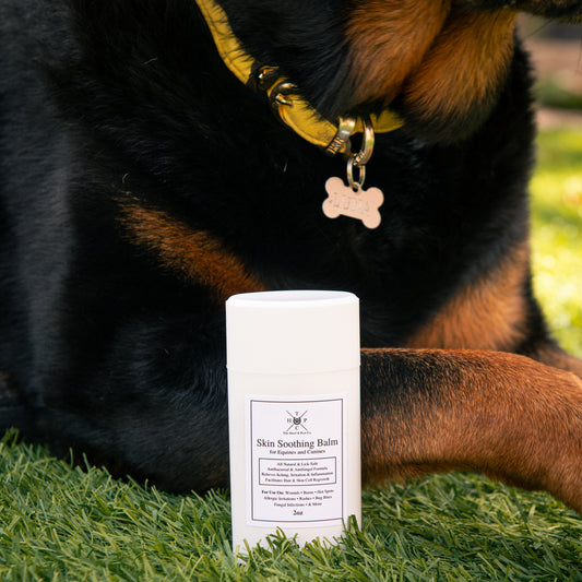 Skin Soothing Balm for Dogs & Horses - 2oz