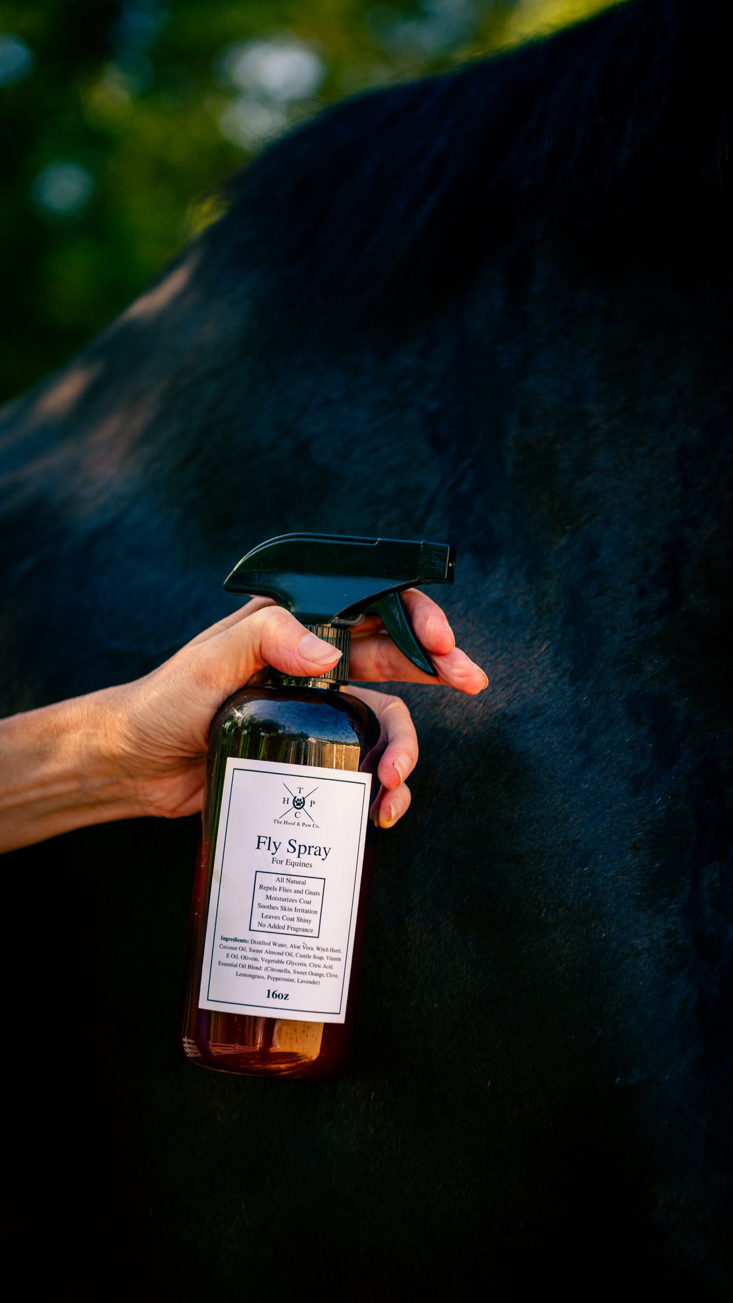 All Natural Fly Spray Repellent - For Horses - 16oz