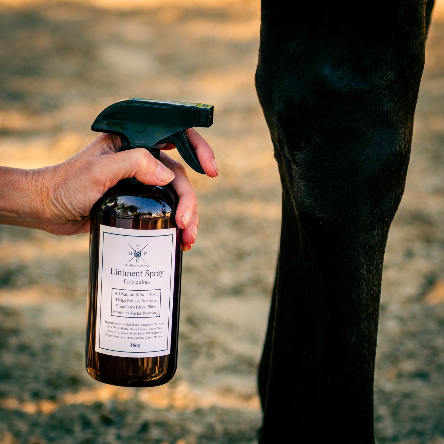 All Natural Liniment Spray - For Horses - 16oz