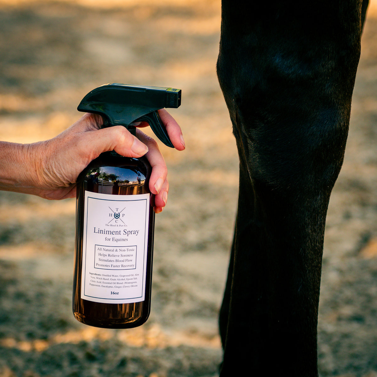The Equine Performance Pack