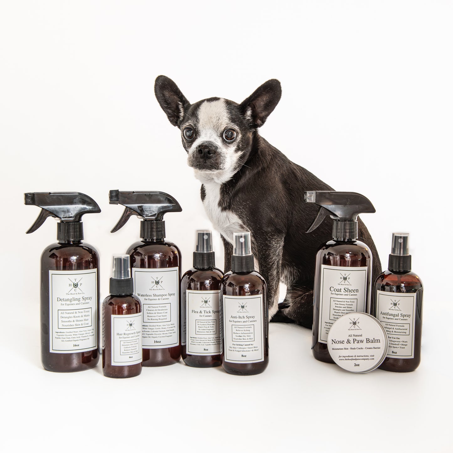 Grooming Spray - for Dogs & Horses