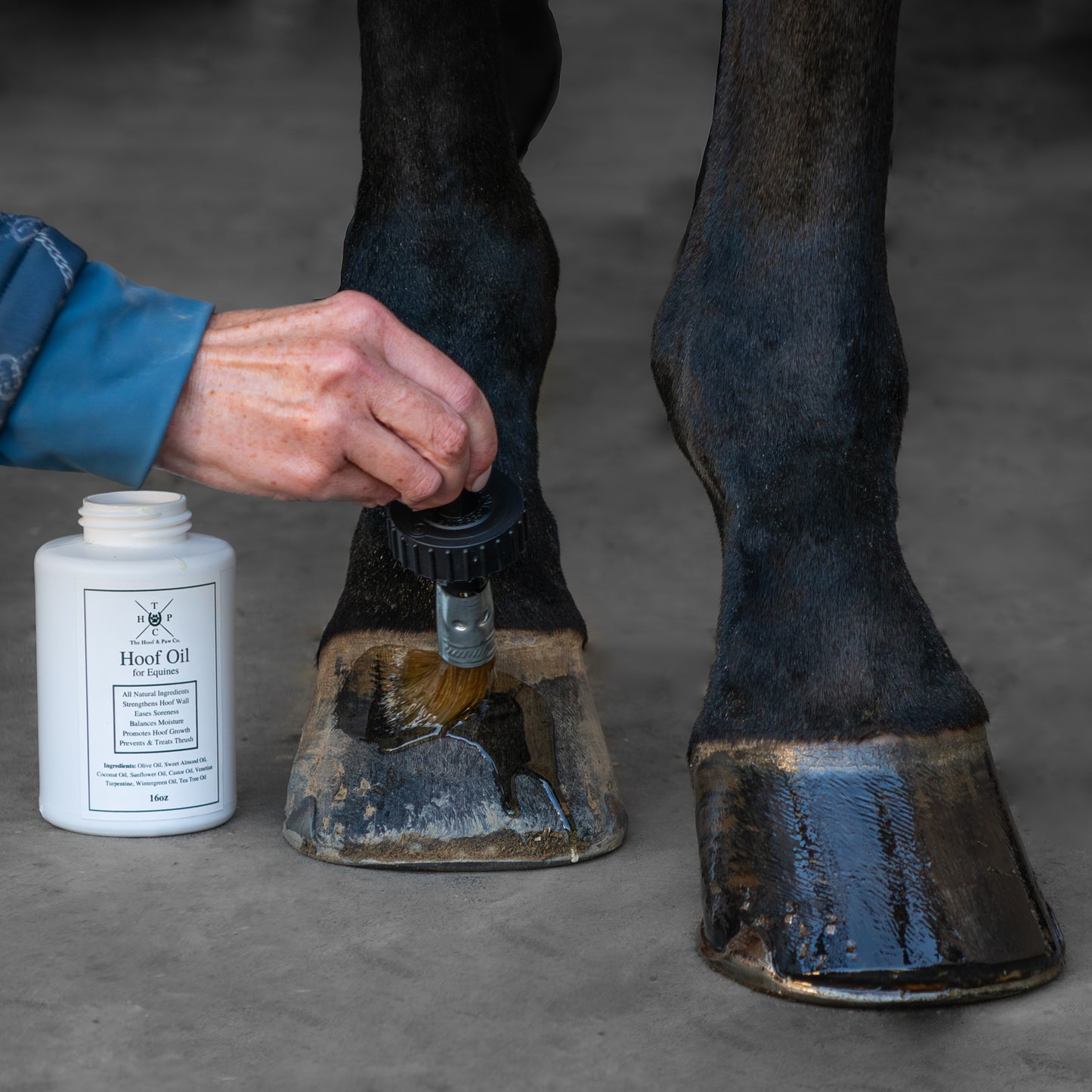 All Natural Hoof Oil - for Horses - 16oz