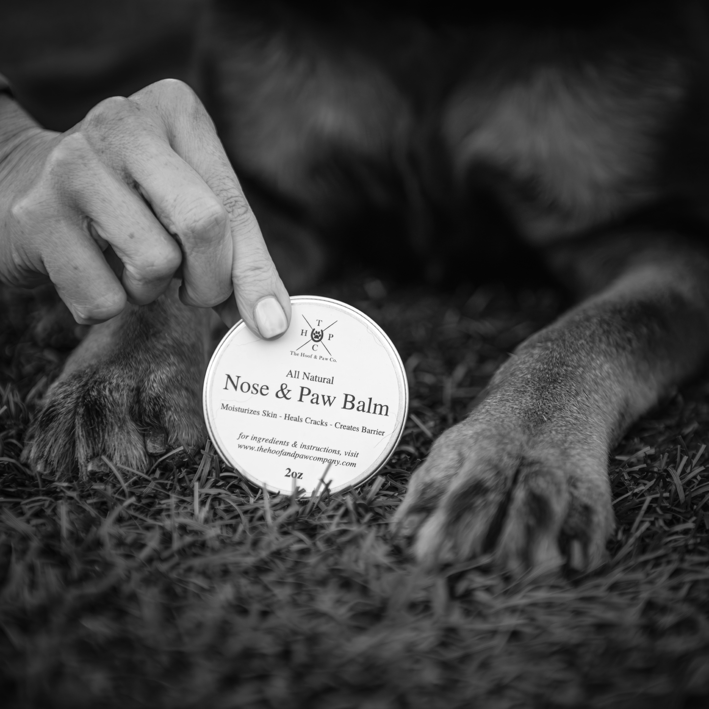 All Natural Nose and Paw Balm - for Dogs - 2oz