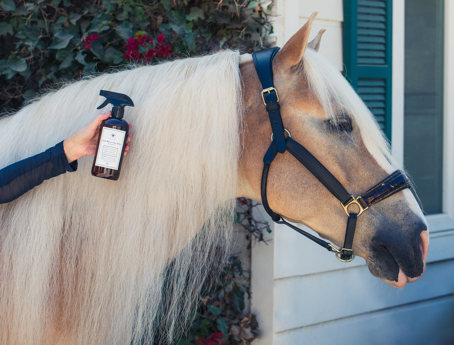 All Natural Stain Removing Spray - For Horses - 16oz