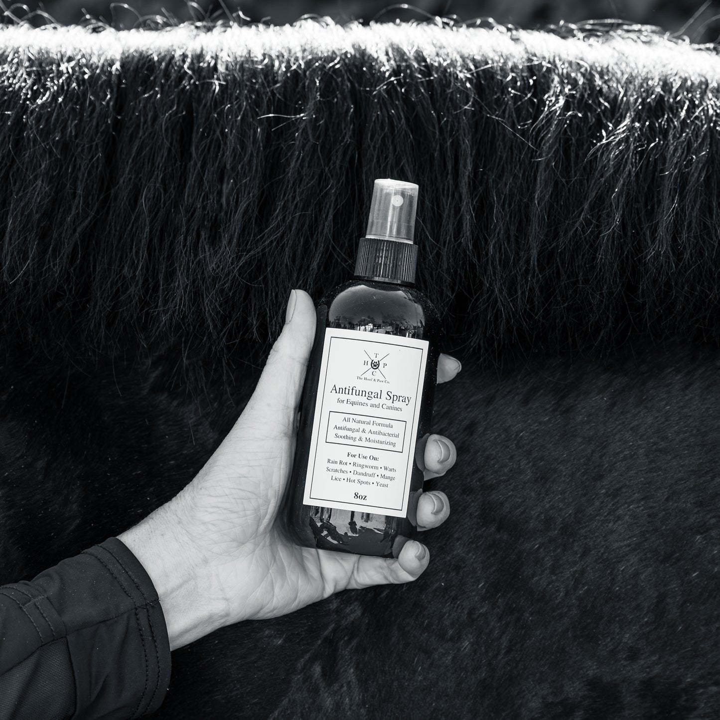 All Natural Antifungal Spray - For Dogs & Horses - 8oz