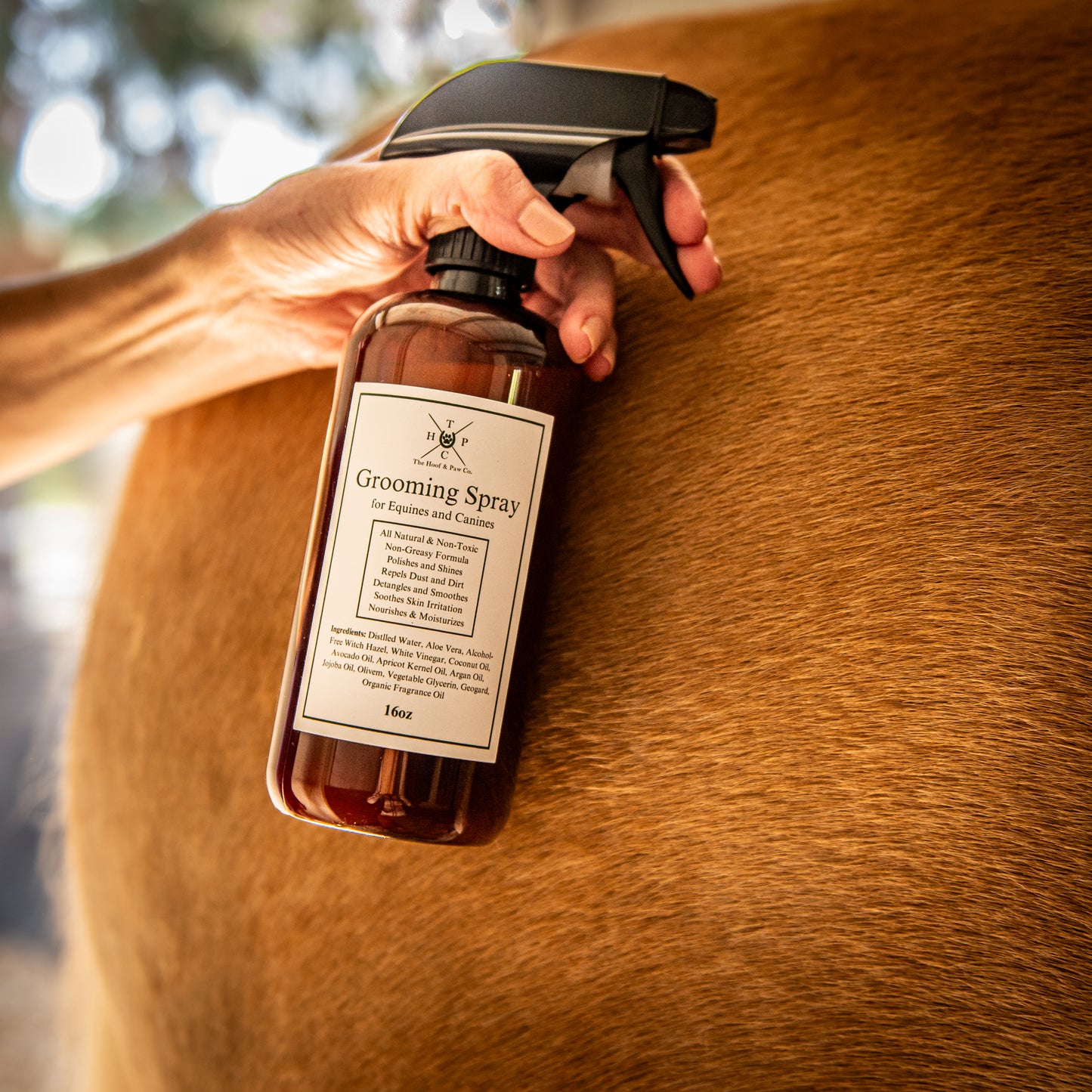 Grooming Spray - for Dogs & Horses