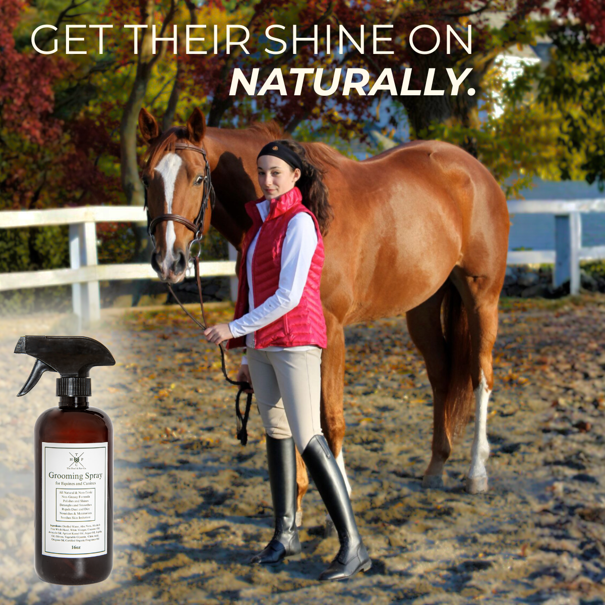 Grooming Spray for Dogs & Horses - 16oz