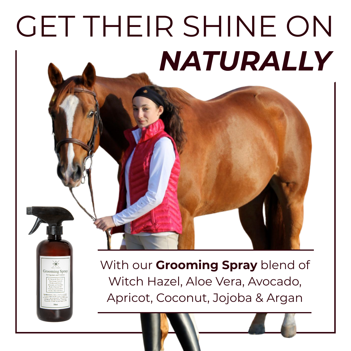 Grooming Spray - for Dogs & Horses