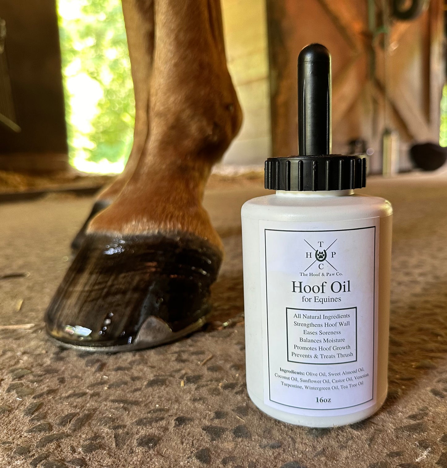 All Natural Hoof Oil - for Horses - 16oz