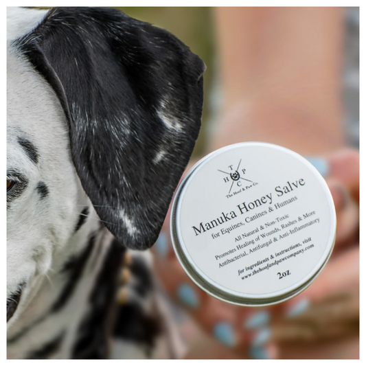 Manuka Honey Salve for Dogs, Horses & Humans
