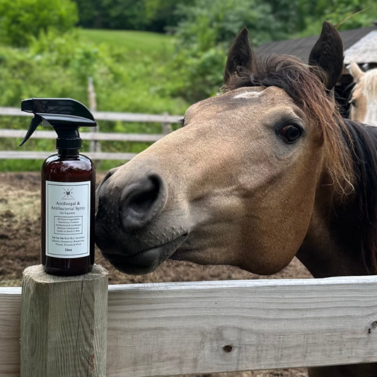Antifungal & Antibacterial Spray - for Horses