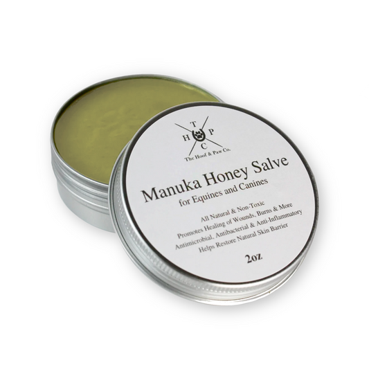 Manuka Honey Healing Salve with Herbal Infusion - For Dogs, Horses & Humans- 2oz