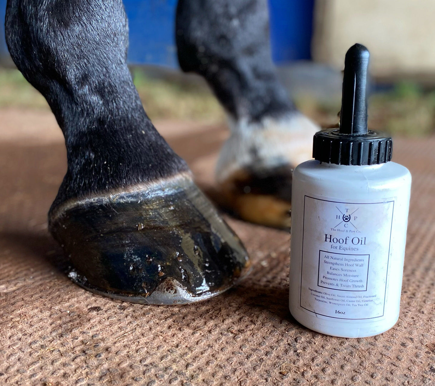 All Natural Hoof Oil - for Horses - 16oz