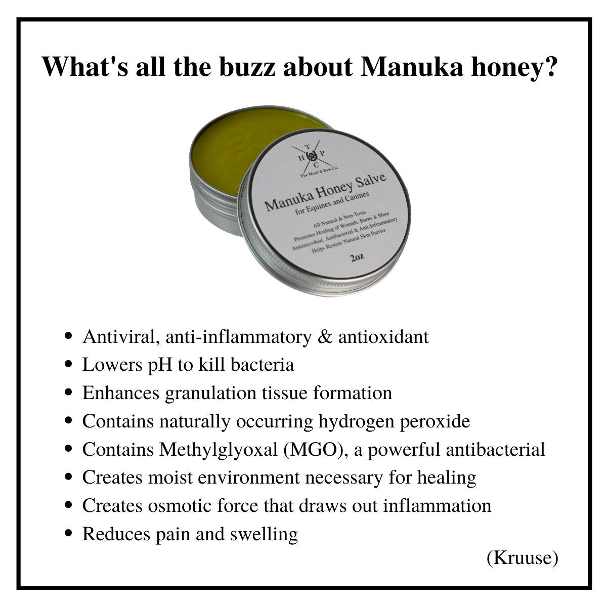 Manuka Honey Healing Salve with Herbal Infusion - For Humans - 2oz